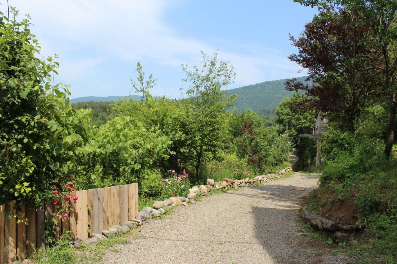 Nikala'S House Hotel Borjomi ภายนอก รูปภาพ