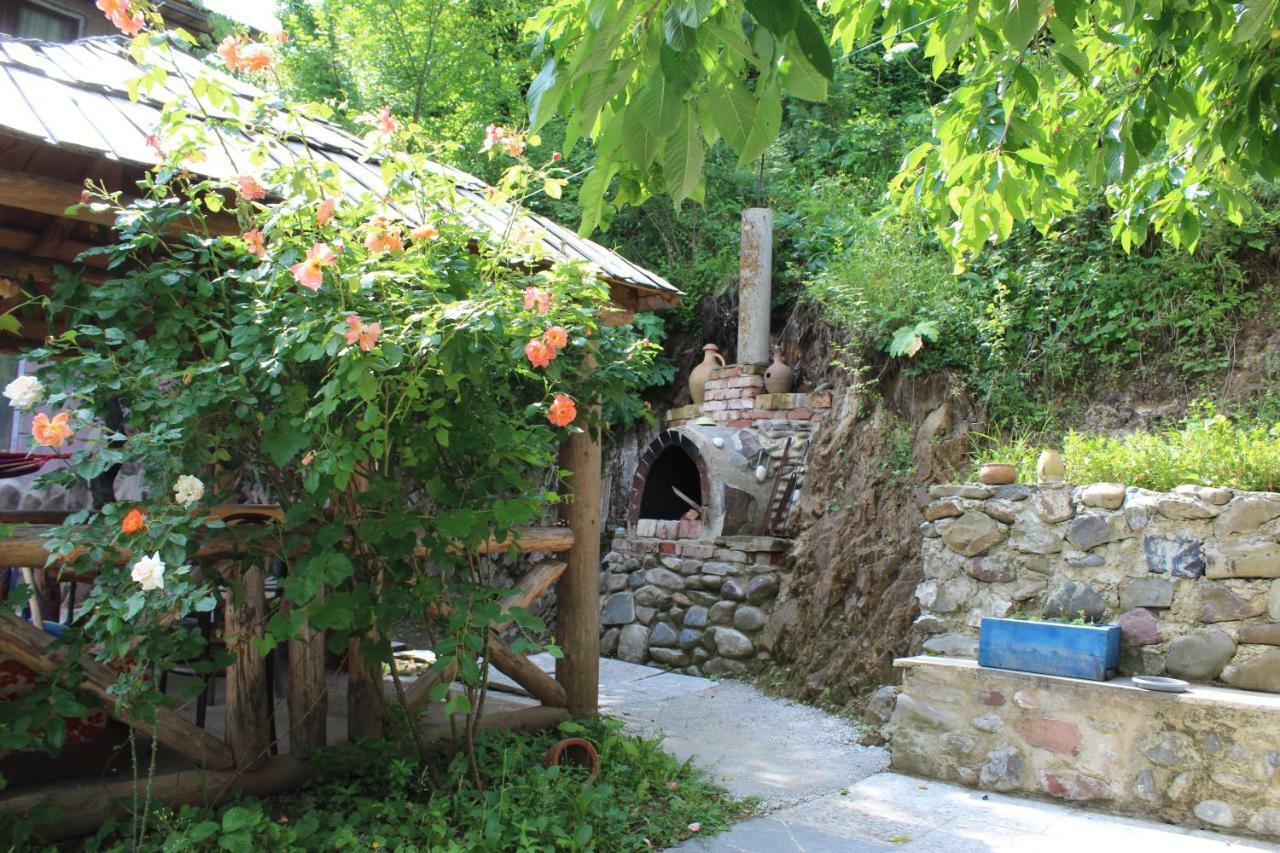 Nikala'S House Hotel Borjomi ภายนอก รูปภาพ