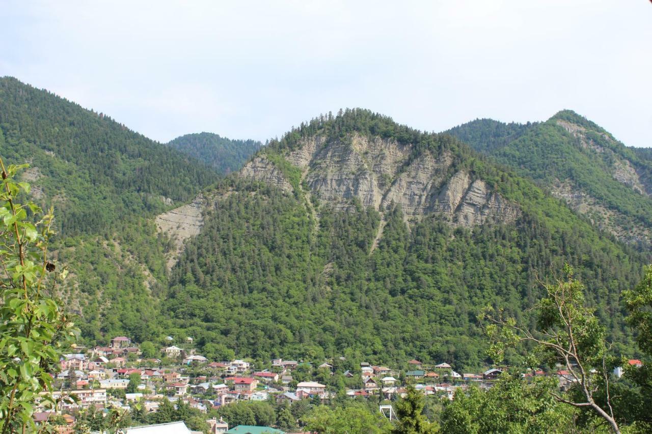 Nikala'S House Hotel Borjomi ภายนอก รูปภาพ